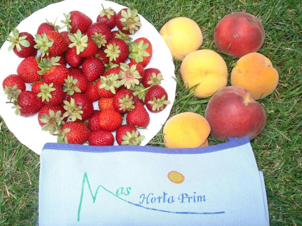 בית הארחה סאנט פרה פסקדור 	Mas Horta Prim מראה חיצוני תמונה